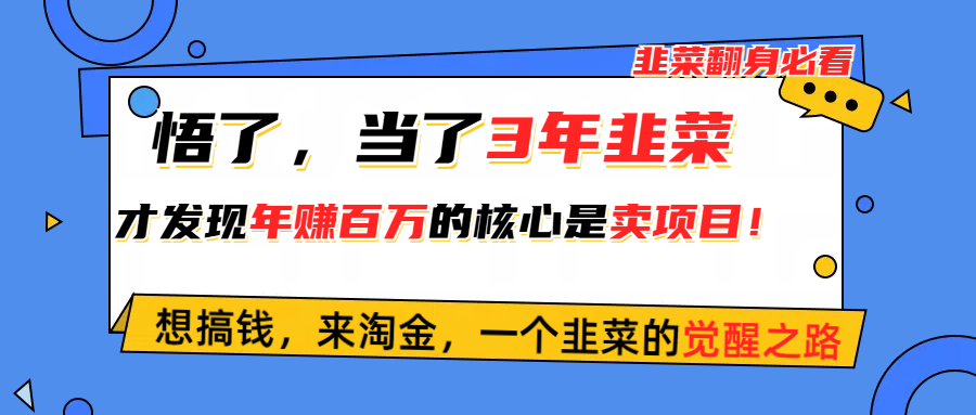 (5.28)悟了，当了3年韭菜，才发现网赚圈年赚100万的核心是卖项目，含泪分享！